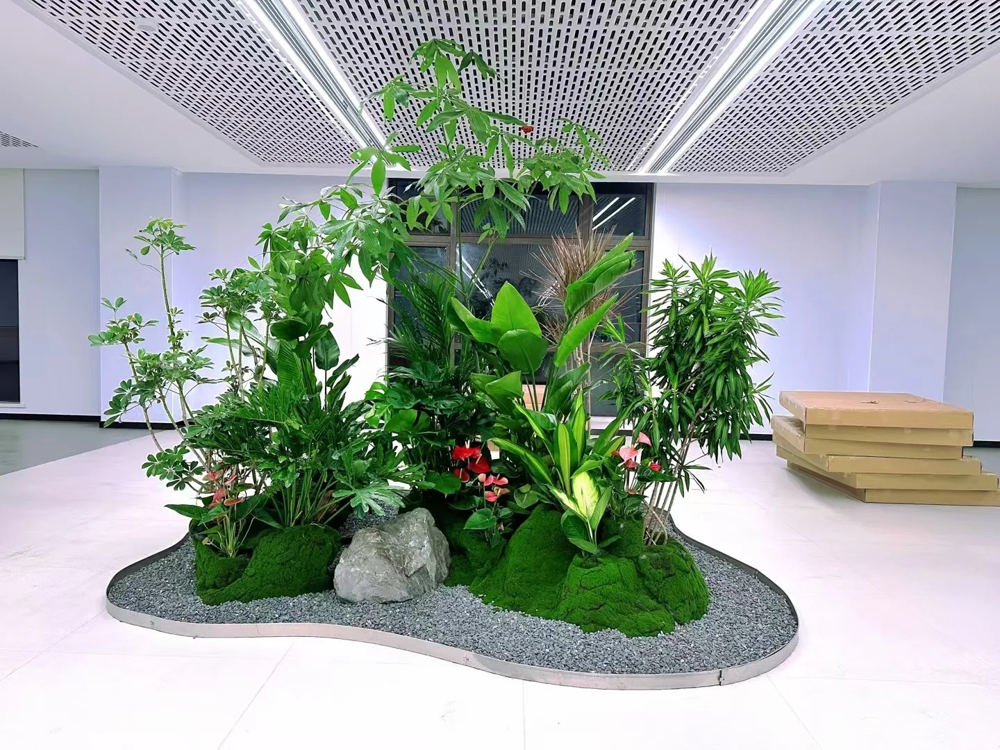 余姚植物租赁公司,绿植装扮办公环境的秘密武器